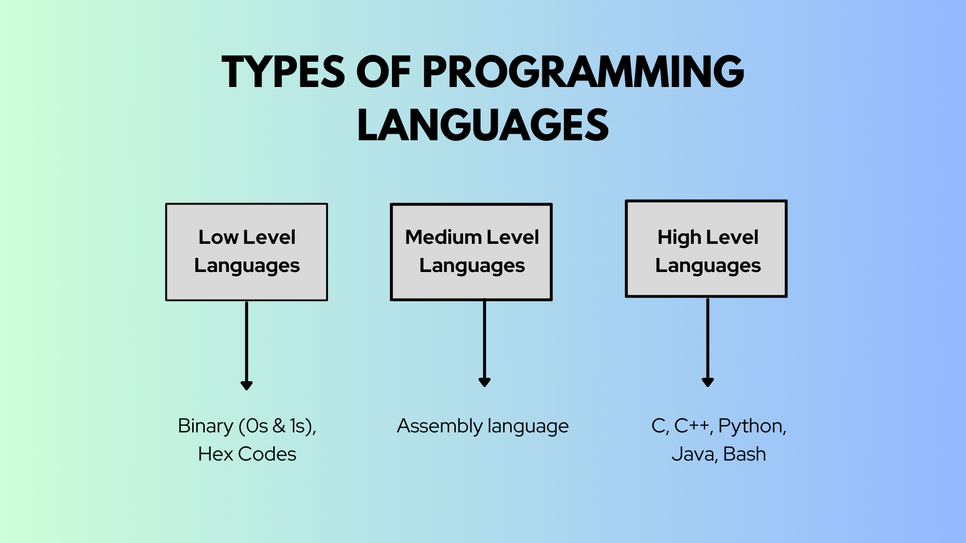 Types of Programming Languages & Basic Concepts for Beginners